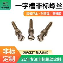 台阶异形件螺栓家具螺丝太阳能螺丝铝型材螺丝胶链一字非标螺丝