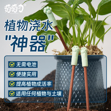 园艺土壤测水棒湿度计花卉土壤水检测仪器高精度园艺水分缺水提示
