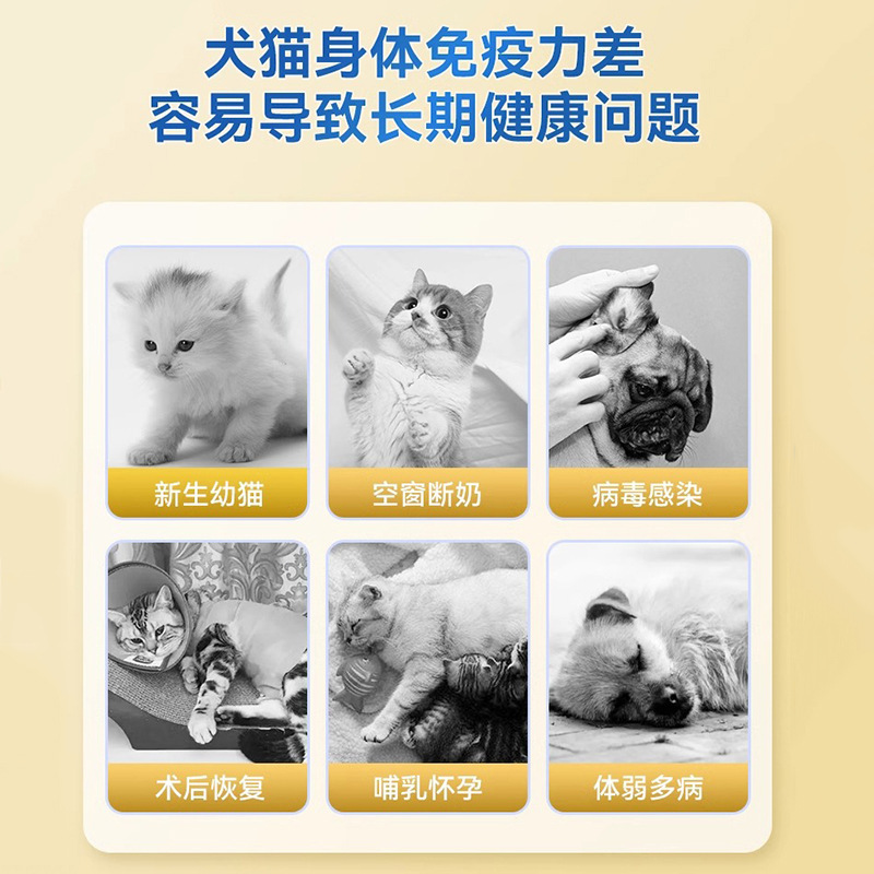 Lactoferrina, gatos y perros, gatitos recién nacidos, cachorros, calostro, suplementos nutricionales, cápsulas de proteínas, productos para la salud