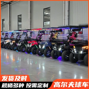 Golf Cart Sightseeing Car 6-Seater Electric Golf Cart