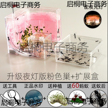 Λρ��Λρ�Ǳ�ρ��Λρ�����ݸC��ƽ��ρ��ֳ�^�����