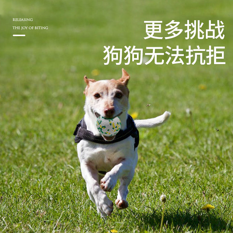 Aiwang狗磨牙球高弹轻巧爆米花球ETPU耐咬宠物玩具狗狗实心玩具球|undefined