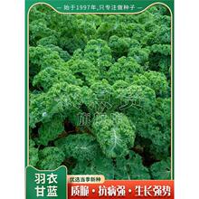 ʳ¸{Nͺ{NѰ~mNļ̨߲˷N