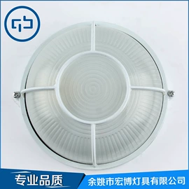室外壁灯;草坪灯;埋地灯