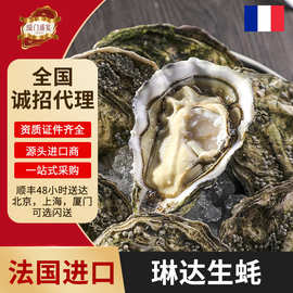 法国琳达正品48只整件鲜活刺身生蚝批发食材活鲜生鲜海鲜法国直供