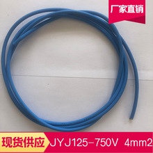 廠家現貨供應JYJ125平方電機引接線