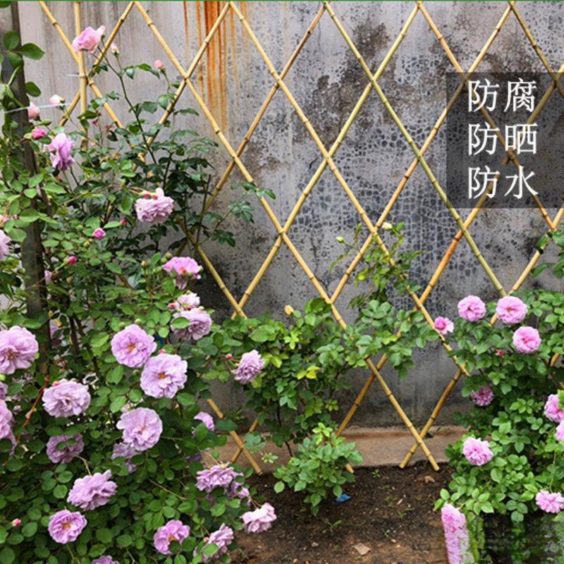 伸縮竹フェンスフェンス屋外ガーデン庭サブブロック菜園フェンスフェンスフェンスフェンスフェンスフェンス月シーズン籐登りフレーム|undefined