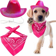 寵物霓虹燈閃亮太空牛仔帽服裝套裝狗貓幻彩牛仔帽西部牛仔配飾