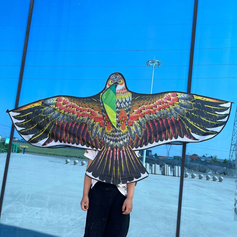イ坊凧の新型の格子布のタカの包頭のタカの凧は鳥を驚かして多色のメーカーの卸売りをします。|undefined