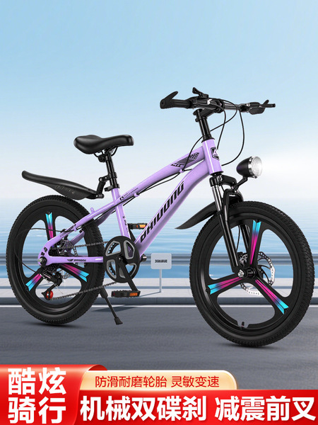 Mountain bike with brake system