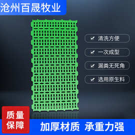 羊用漏粪板塑料羊床板新型专用的漏粪板保育床接粪漏缝板养殖设备