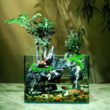 方缸小叶紫檀微景观生态瓶鱼缸造景办公室桌面绿植创意摆件送礼