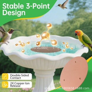 ���R�d���� bird bath diskС�Bԡ���坍�� �~�|�A�P ���~Ƭ