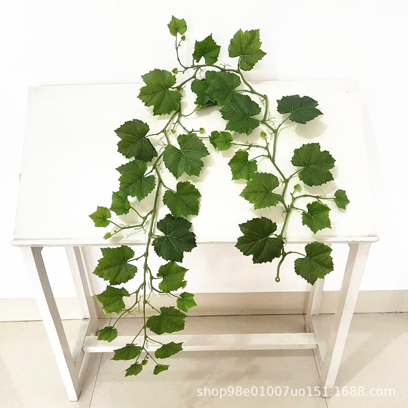 Artificial Green Plant 1.5m Grape Leaf Vines Single Long Stem Grape Leaf Vine Indoor Decoration Landscaping Artificial Green Plant 1.5m Grape Leaf Vines Single Long Stem Grape Leaf Vine Indoor Decoration Landscaping