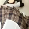 Little brown plaid skirt