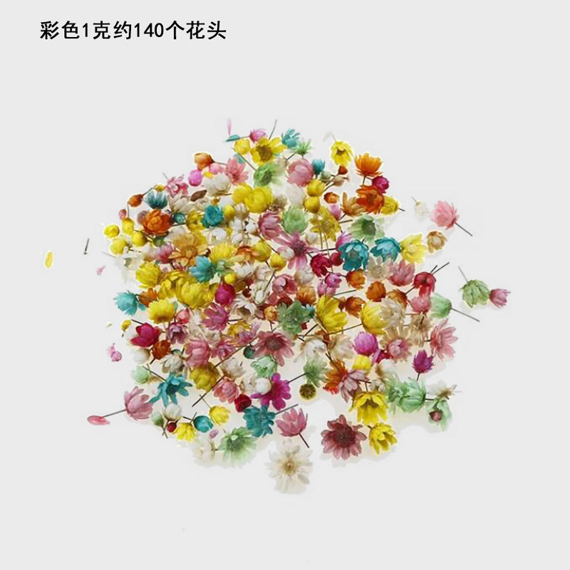 小さな星の花の頭diyのドリップの水晶のボールは装飾のアクセサリのネイルの材料のカラーの手作りの本当の花のドライフラワーを埋めます。|undefined
