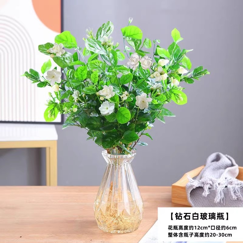 [수경재배 추천] 자스민 꽃 5개(다이아몬드 화이트 유리병)와 무료 영양액을 선택하세요