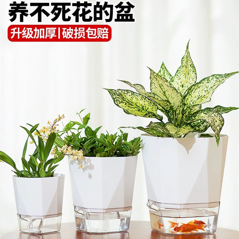 新款免浇水花盆自吸水懒人网红绿萝月季加仑盆塑料阳台兰花多肉盆|undefined