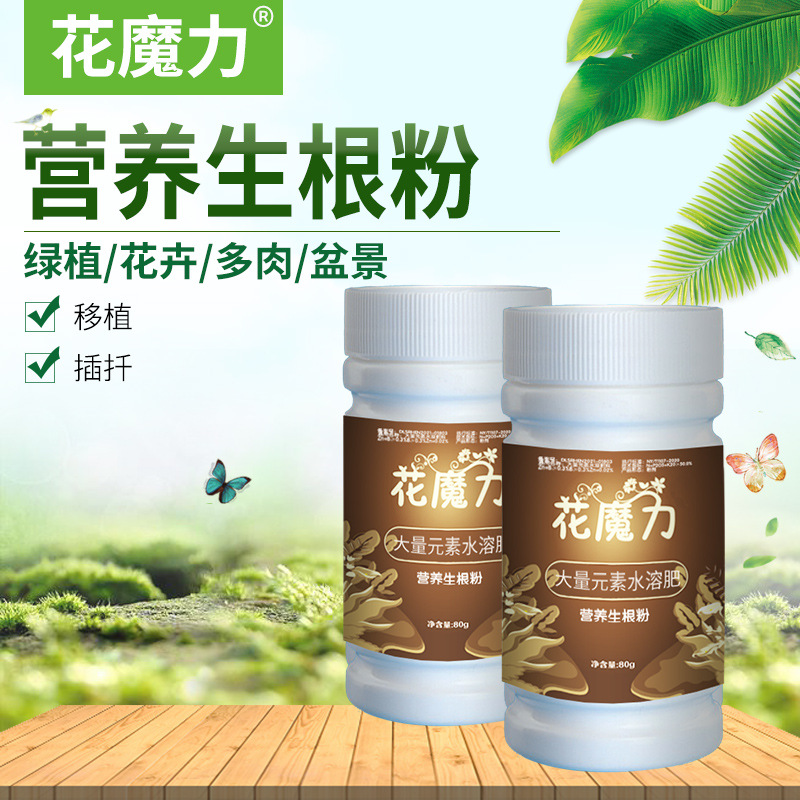 花魔力花卉生根粉 花卉园艺多肉水培扦插育苗用生根粉80g