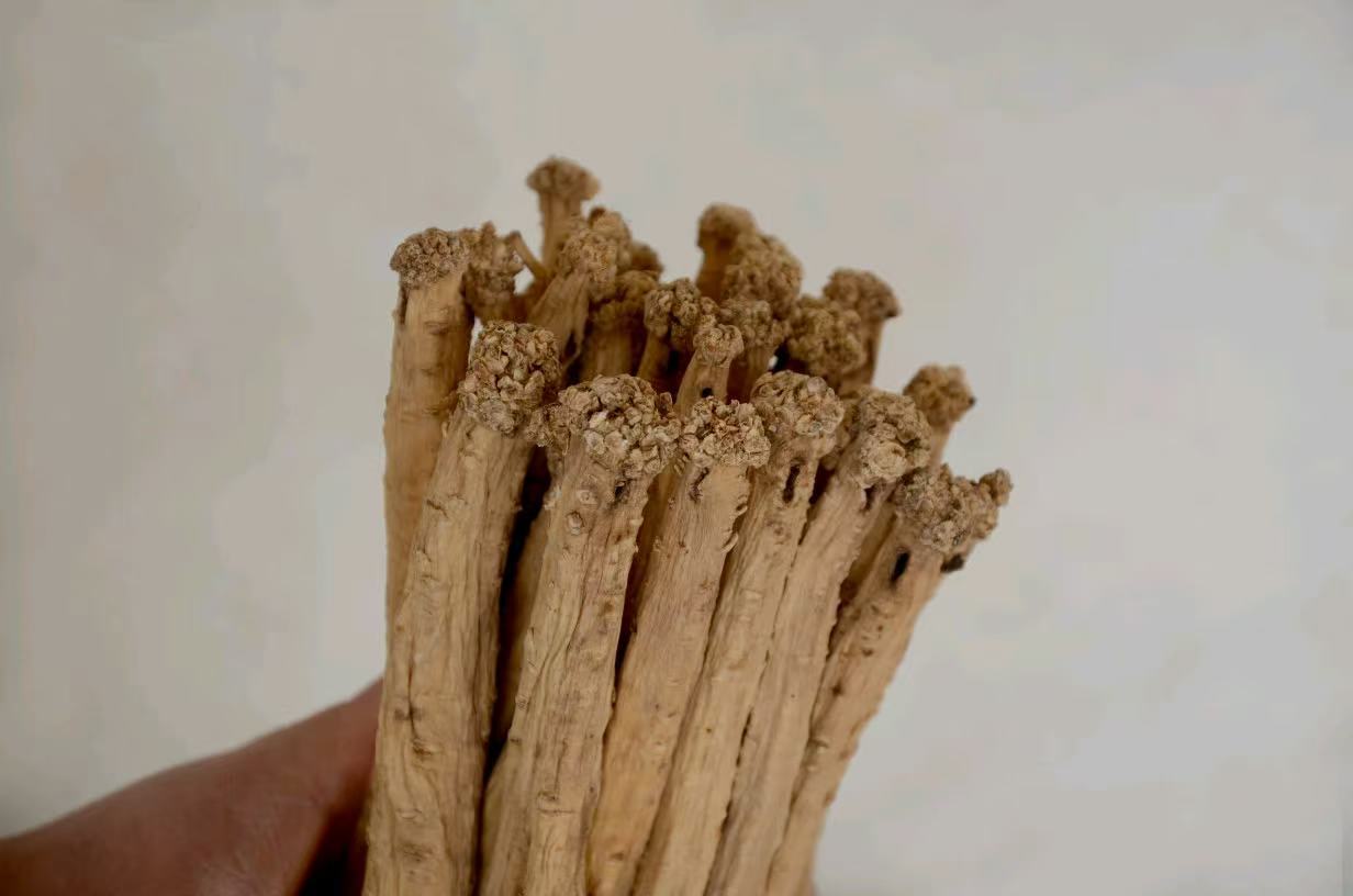 Gansu-Origin Codonopsis Root, New Stock, Sulfur-Free, Sun-Dried, Authentic Selected Chinese Medicinal Herb, Medium-Sized Codonopsis Root detail image
