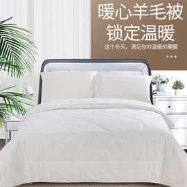 安巢(ANCHOW) 暖芯羊毛被AW10703礼盒装 量大从优 可代发