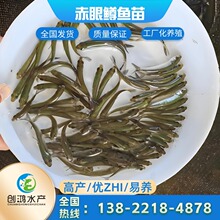  һ؛Դ V~ t۰~ ߮aB ~