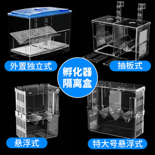 Transparent acrylic incubation small tropical fish seedlings young fish delivery room incubation breeding box multi-grid wholesale Douyu isolation box