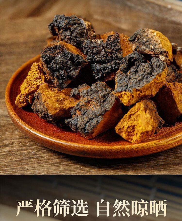 Chaga Mushroom Granules Hua Shu Rong 500g Wild Harvested Changbai Mountain Birch Fungus for Daily Herbal Tea quality and texture