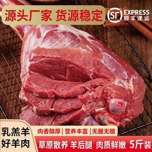 ���Kԭ���������ԭɢ�B����������l���l�l؛��S���]����������