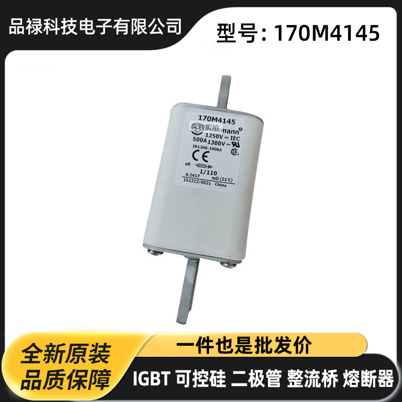 170M7169 170M7178 170M7179 170M7180全新高压熔断器 保险丝