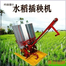 ����C�֓uʽˮ����ʽ���в�̙CС�Ͳ���C�Nֲ�C�r�ø��N��̫��