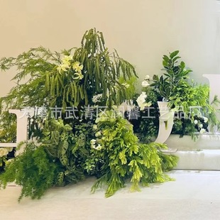 �Gɫϵ�з��滨����Gֲ ��c�b��c�Y���� �ҾӾƵ�Ӱ�ǲ����ٻ�