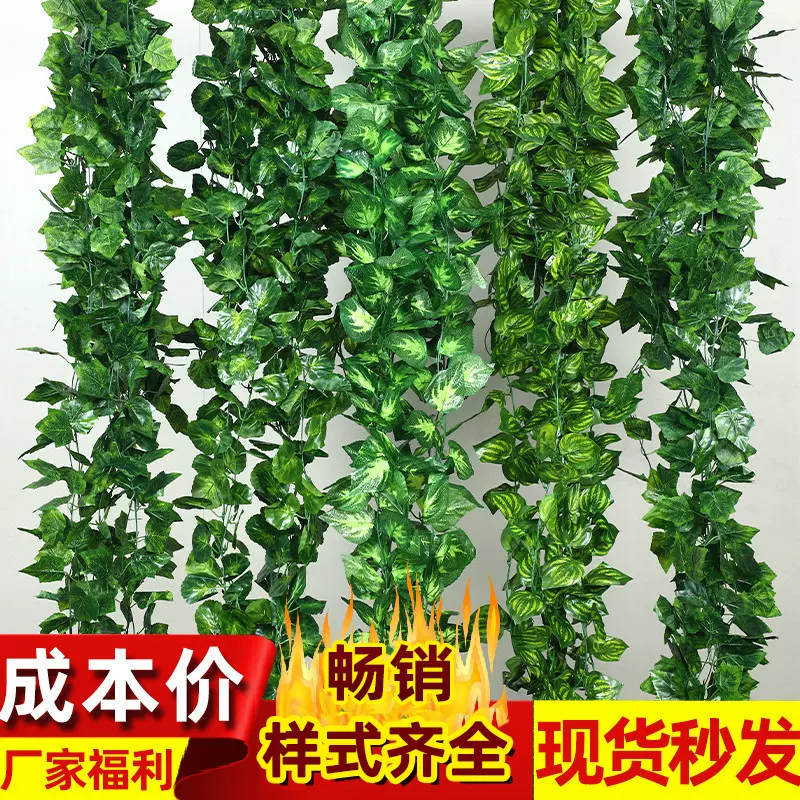 仿真藤条爬山虎植物葡萄叶绿树叶塑料假花水管道缠绕藤蔓吊顶装饰