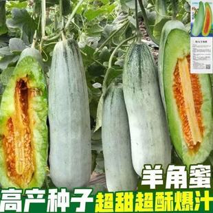 ԭ�b�������ϷN�Ӹ߮a��ౡƤ������������ļ�ˮ���N�Ӵ�ȫ