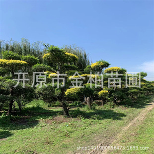 ���ͽ��~�ܸ߽ӗU��޽ӽ��~�ܘ���G�h�е�����~�ܱ���G����ľ