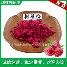 现货销售 树莓果粉 树莓粉 树莓汁粉 水溶果蔬粉瑞帕批发包邮