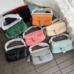 奥莱C家羊皮復古雲包片肩包tabby pillow片肩斜め脇下ハンドバッグ