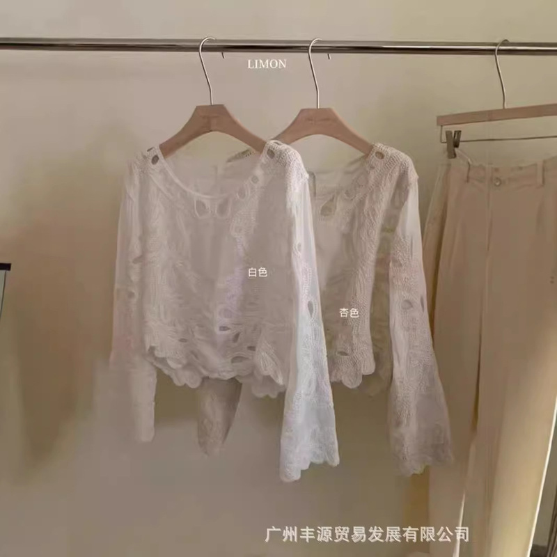 Autumn 2024 New Korean Style High-end Niche Design All-match Hollow-out Embroidered Long-sleeved Shirt Women's Top