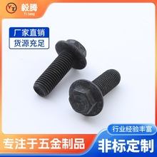 �S�Ҹߏ����׻��ǘ˶�����˨��ĸ���b��ɫ���Ƿ��m����˨���m�ݽz