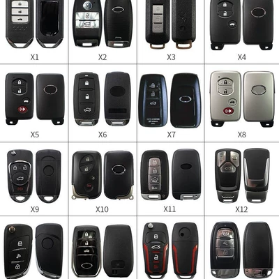 Car anti-theft device Start + Remote Start +