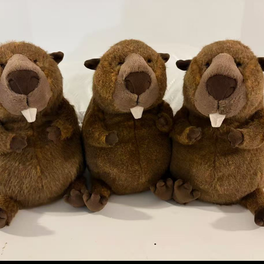 High-Quality Selection, 48H Duration ----- Big Collection 2 Limited Time Offer Discount Toys Cute Animal Figures