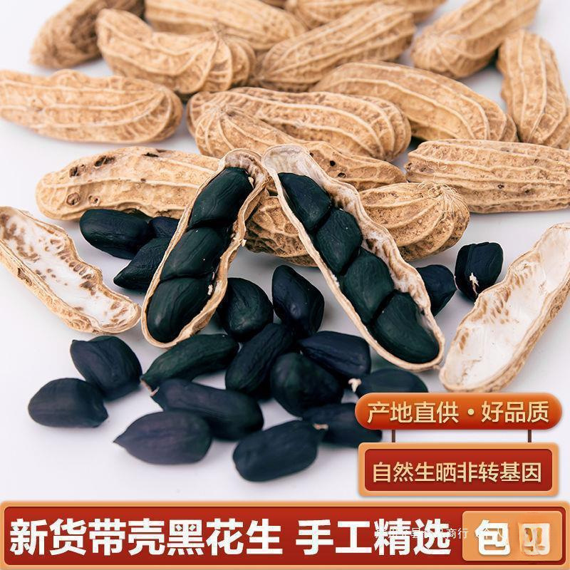新黑花生5斤半斤 带壳黑花生富硒黑皮籽农家原味云南普洱产帅婕
