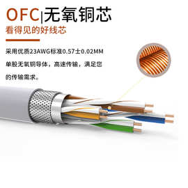 胜牌 CAT6双屏蔽网线无氧铜0.57纯铜8芯电脑路由器跳线千兆网络线