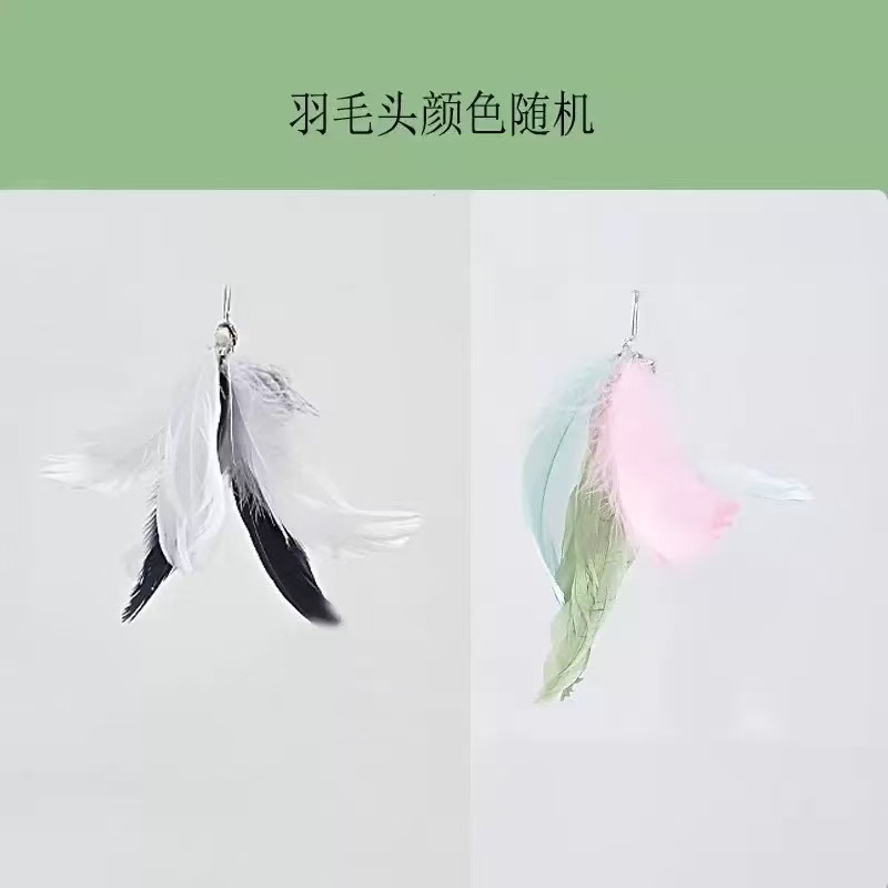 猫脸强力吸盘逗猫棒多彩羽毛替换头彩色钢丝逗猫玩具现货厂家直销|undefined