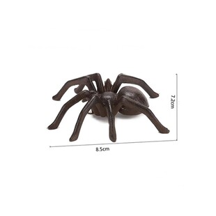 �羳�T�F֩�����  ��춠����b����