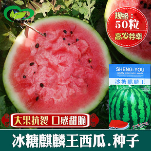 ����������8424���ϷN������ ���챡Ƥ��Ƥ�A�μtȿ���ϷN��