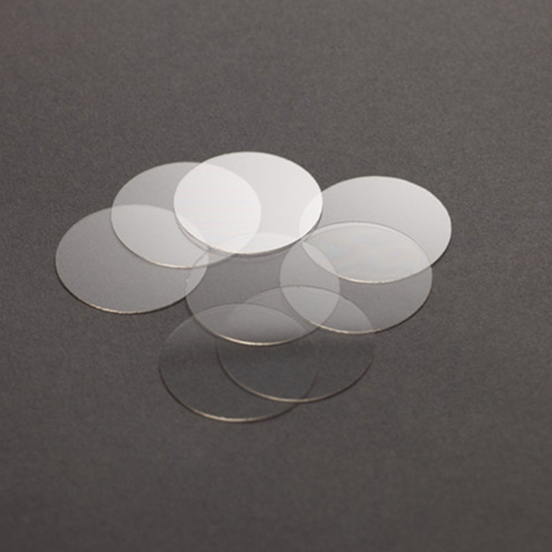 NEST 801009 细胞爬片,6孔,直径25mm,100片/盒