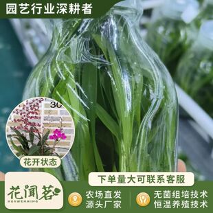 �л�����0823�����m307ƿ��M�����״���҃������Ի�������r��