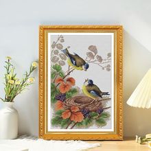 ��ƌ�ľ���ʮ�ֽ��ʯ���Ѯ���Ƭ���������������������b��