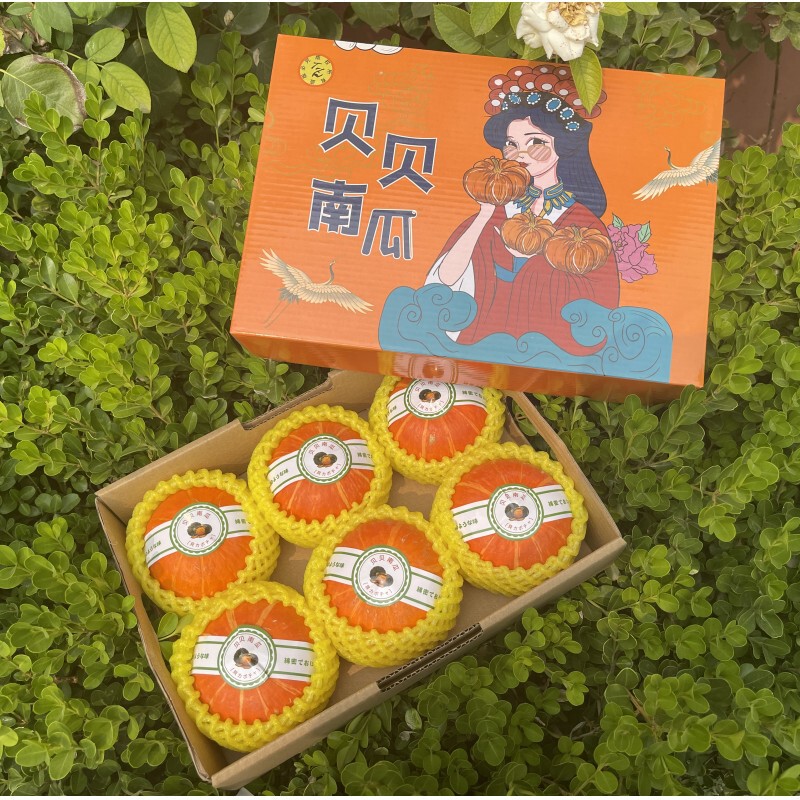 Beibei Pumpkin Red Baby Red and Black Combination Gold Beibei Good Taste Collection Souvenir Specifications Duobeibei Gift Box Beibei Pumpkin Red Baby Red and Black Combination Gold Beibei Good Taste Collection Souvenir Specifications Duobeibei Gift Box